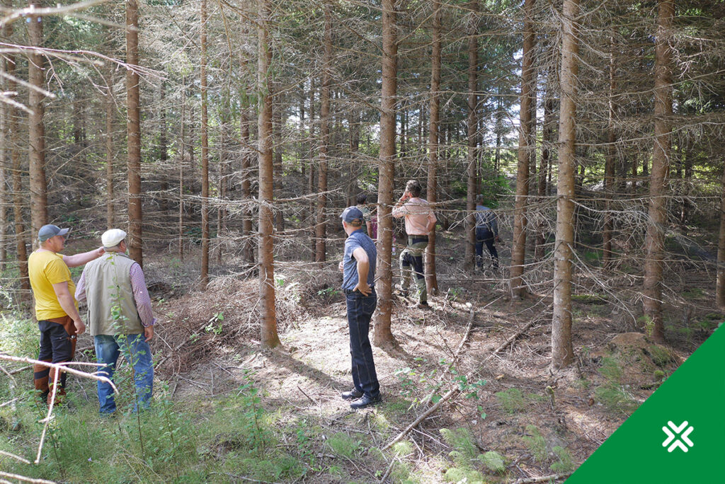 Metsaühistu - metsaomanike ühendus Sinu metsa jaoks.