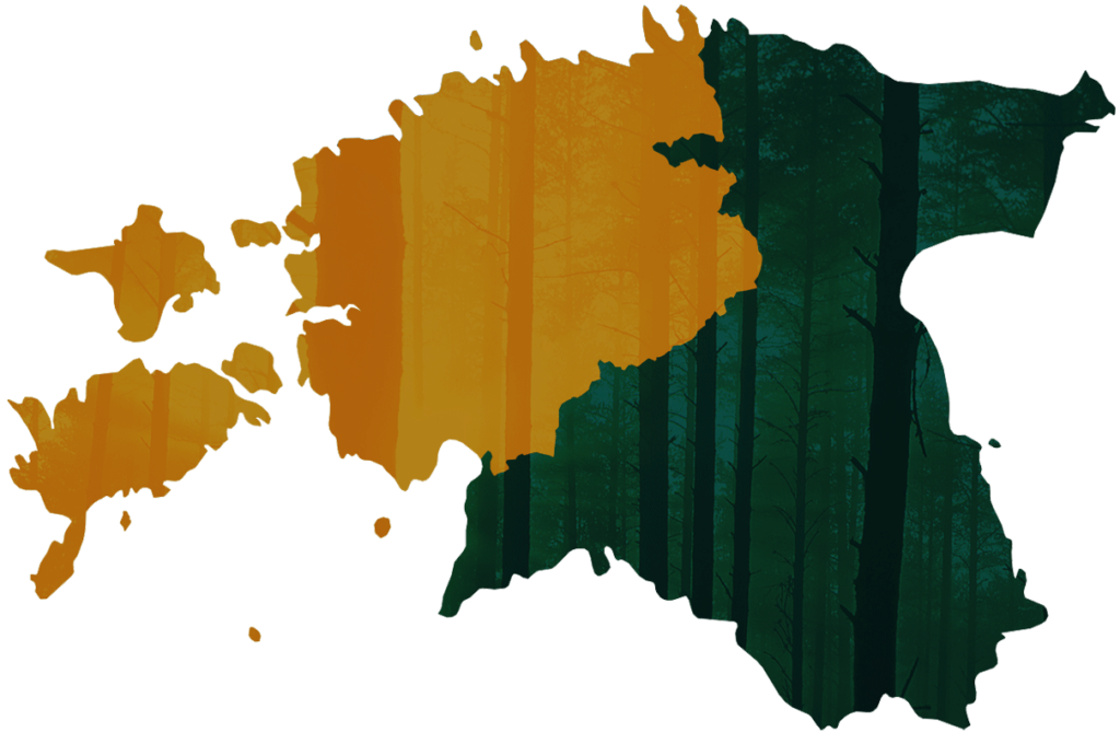 Loode-Eesti Metsaühistu: ühendatud jõud ja rikkam kogemustepagas