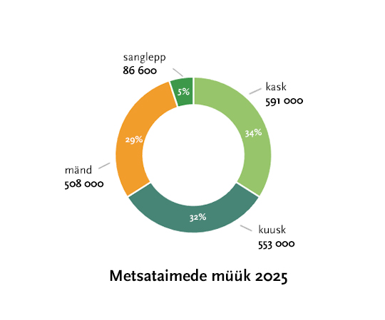 Metsataimede müügiaasta numbrites: Eesti metsade „püha kolmainsus“ püsib