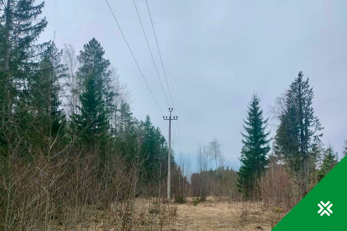 Kontrolli, kas sul on õigus saada talumistasu. Metsaühistu